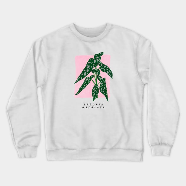 Begonia maculata Crewneck Sweatshirt by Aidi Riera